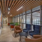 Benefits of Natural Light in Office Design